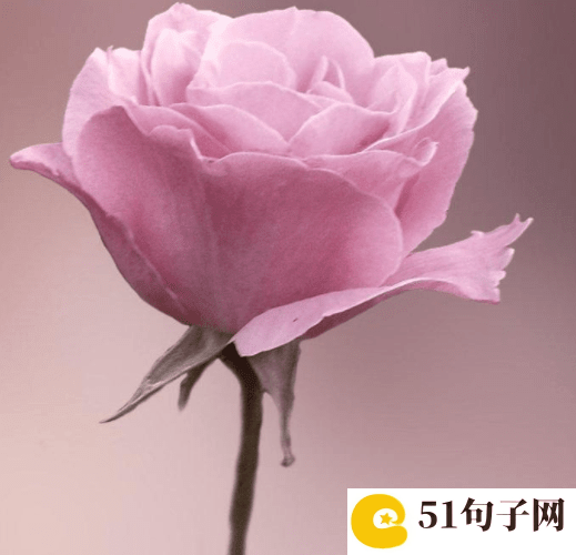 最牛网名大全 