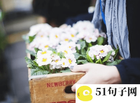 可爱网名 小仙女两字