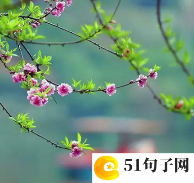 英雄联盟高端局伤感名字