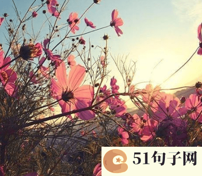 两个字悲伤的网名女生 醉天使づ 