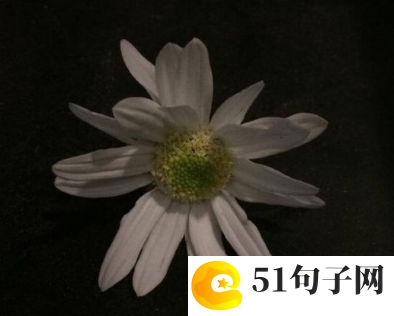 炫舞网名女生 暴雨狂奔 