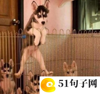 2022最火英文网名带翻译简短精选_(夏花流年summe 