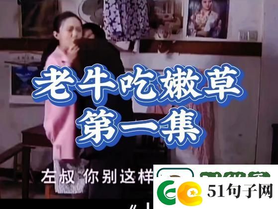 深度解析“老牛嫩草一区二区三区的区别”柯林资讯