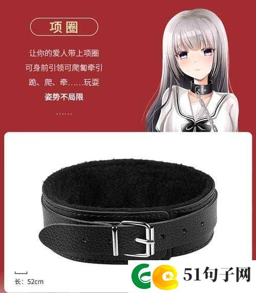 国产 A 级毛片久久久久久精品玩具：带来极致体验的玩具选择