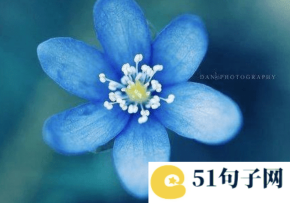 哲理的网名 