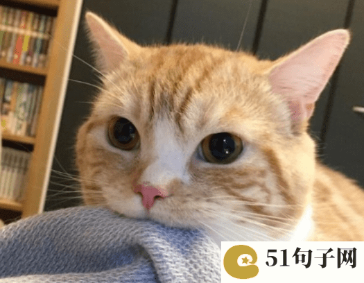 2023吃鸡拉风的id 澄澈的眼 