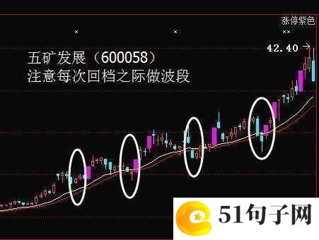 冷门很少人用的网名 