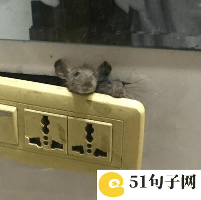 歌词网名 