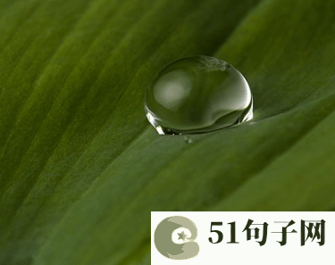 洋气的女孩名字四个字姓张_凡凡别走！ 