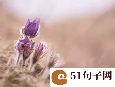 最新qq群等级头衔名称大全