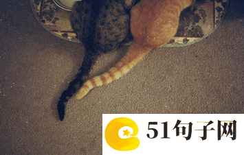 两个字简约古风网名 