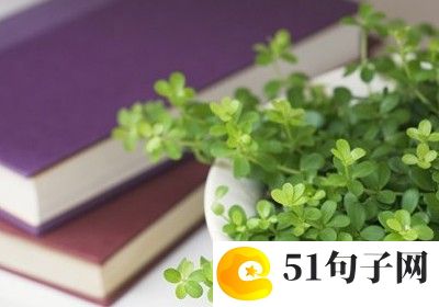 一个有故事的昵称、狂风中的少年 