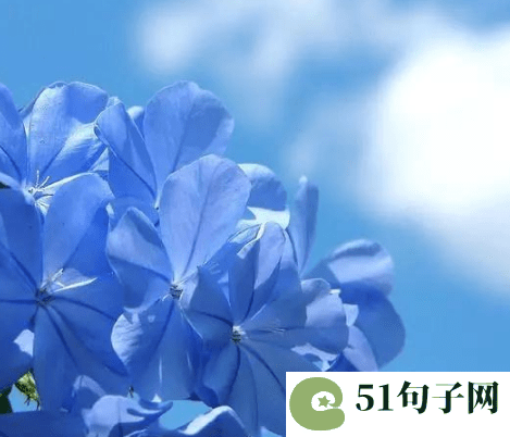 2个字名字好听又吸引人 以晴 