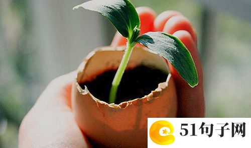 大话西游网名_小不点 