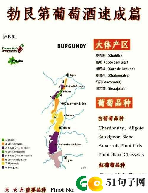 99 精产国品一二三产区：品质卓越的产区探秘