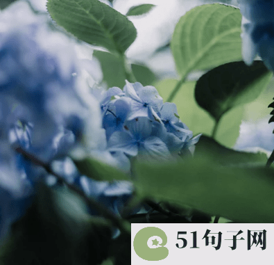 qq炫舞女孩文艺网名 
