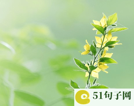 调皮网名女生 