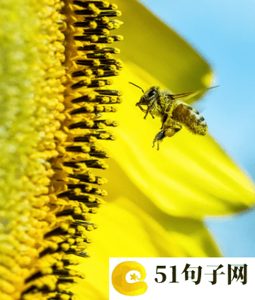 文艺范气质网名