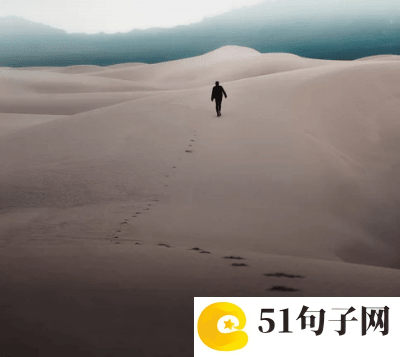网名网红、高一七班他姓杨i 
