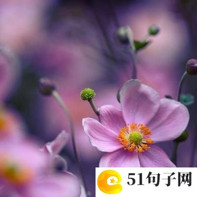 有诗意的网名六个字 