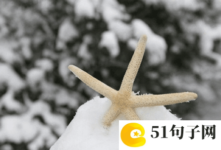 优雅内涵的网名四个字 