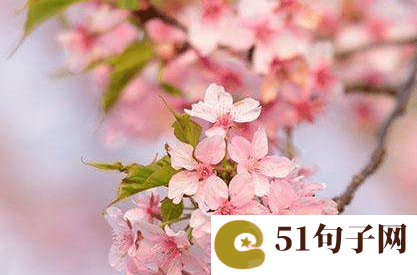 七个字的情侣网名 