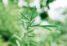 独特小众的游戏id 