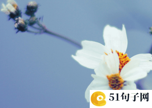冷门且好听的女孩名字叠字 