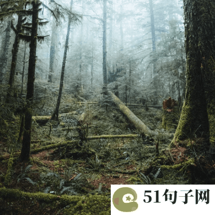 独一无二好听又吸引人的网名、心上有块疤@ 