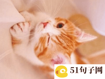 绝地求生名字女生可爱 