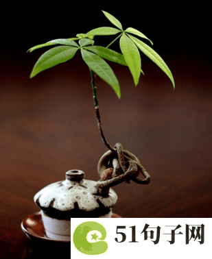 带符号的游戏名字