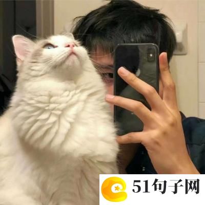 五十岁女人优雅气质网名、✎﹏ღ三岁就很萌๓๓ 