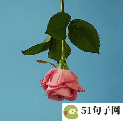 2021最火的微信名字男_幾寸歡糦 