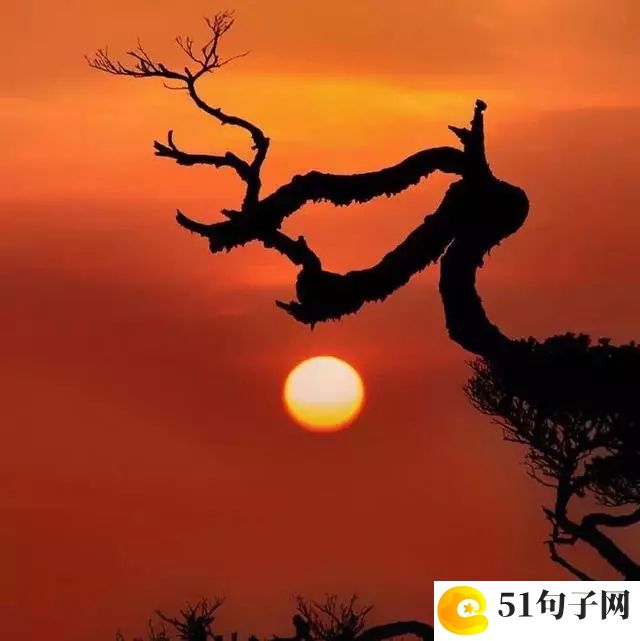 问道好听的游戏家族名字_遗落的小猫 