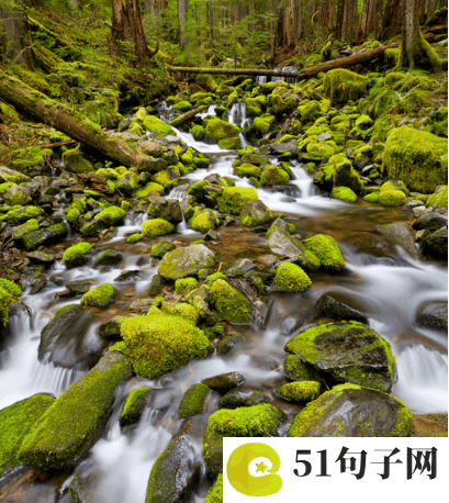 藏在古诗里的绝美名字 