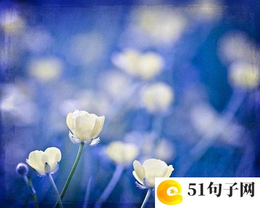 问道手游网名大全 