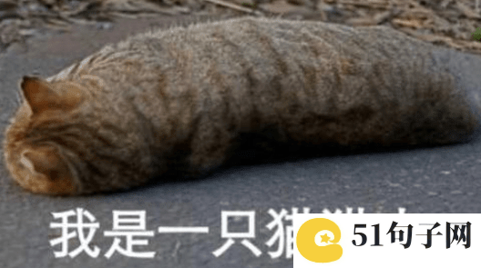 情感语录大全网_▁◇◆゛执着过 