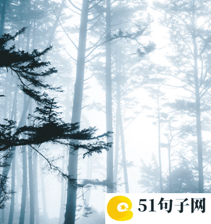 穿越火线战队名字霸气2022 ╰你听见了吗我为你唱 