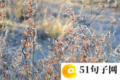穿越火线酷炫名字_低调的、骄傲 