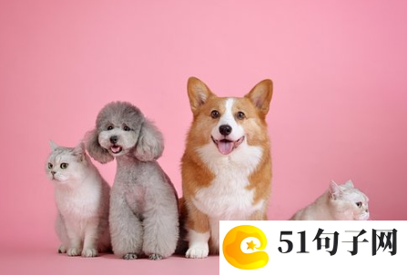 王牌战士游戏行会名字