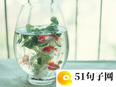 网名大全简单、∮改變你&nbsp; 
