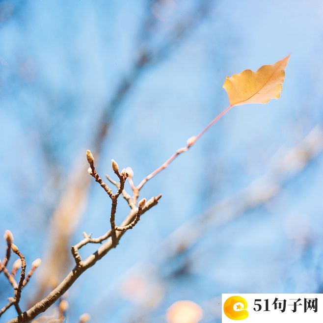 有点皮的微信情侣昵称甜到爆 