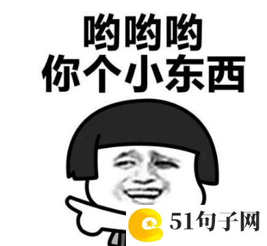 梦想世界宠物名字 
