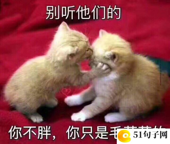 独一无二繁体字网名搞笑 