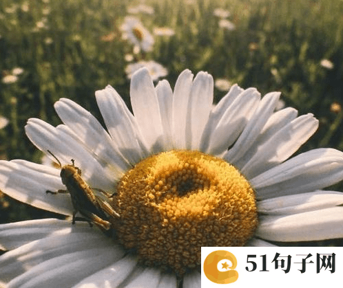 昵称女生简短好听三字 超人的幸福需要咸蛋╰ 