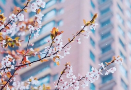 大气有格局的微信名字、你的雪月风花 