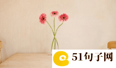 8个字好听的沈字网名 心軟是病,情深致命 