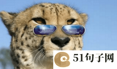 梦幻西游网名符号 