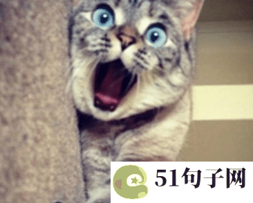 好听好记的微信号、♘笙歌 