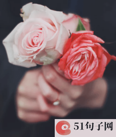四个字网名有气质的女生 你的快乐 
